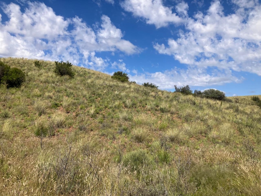 0 Bedroom Property for Sale in Luckhoff Free State